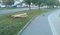 IMAG0124